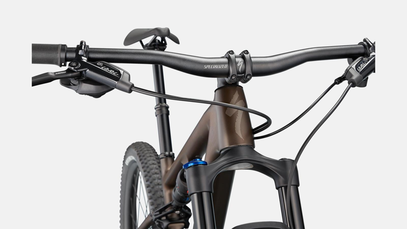 Specialized Epic EVO Mountain Bike in Brown-1